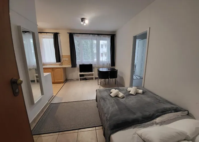Hi Downtown Apartment A308
